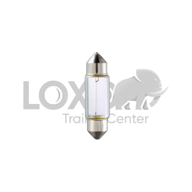 Ampoule C5W 24V