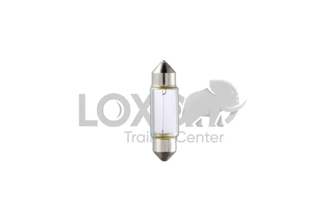 Ampoule C5W 24V