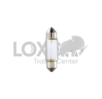 Ampoule C5W 24V