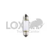 Ampoule C5W 24V
